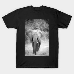Black and white elephant T-Shirt